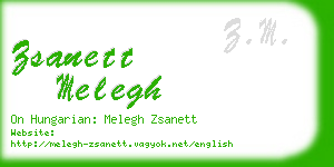 zsanett melegh business card